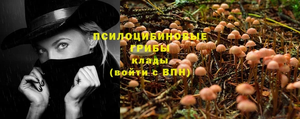 индика Алексеевка