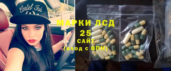 индика Алексеевка