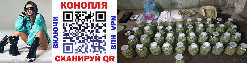 как найти закладки  Миньяр  Канабис сатива 